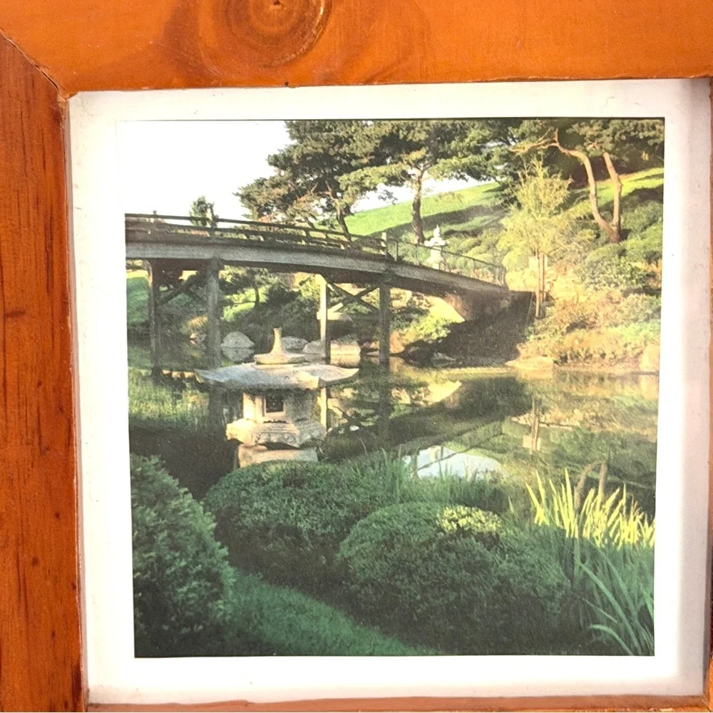 Chicago Botanic Garden Japanese Asian Plants Flowers Picture Framed Mini 5.5”